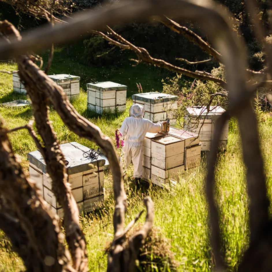 Manuka Honey 